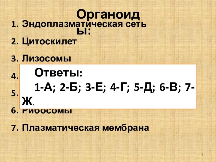 Органоиды: Эндоплазматическая сеть Цитоскилет Лизосомы Пластиды Митохондрии Рибосомы Плазматическая мембрана Ответы: 1-А;