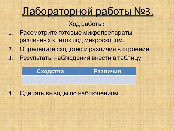 Лабораторной работы №3. Ход работы: Рассмотрите готовые микропрепараты различных клеток под микроскопом.