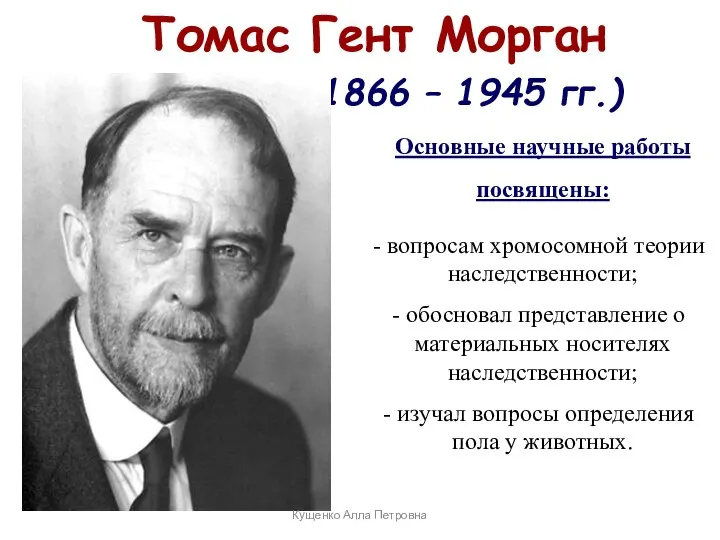 Томас Гент Морган (1866 – 1945 гг.) Основные научные работы посвящены: вопросам