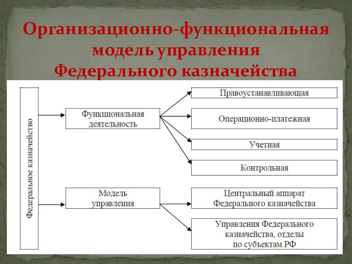 Организационно-функциональная модель управления Федерального казначейства