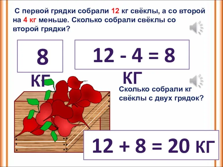 С первой грядки собрали 12 кг свёклы, а со второй на 4