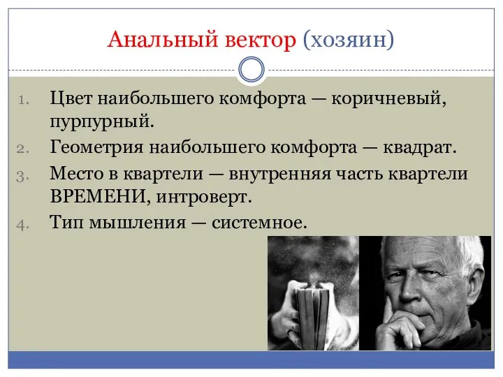 Анальный вектор (хозяин) Цвет наибольшего комфорта — коричневый, пурпурный. Геометрия наибольшего комфорта