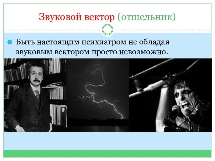 Звуковой вектор (отшельник) Быть настоящим психиатром не обладая звуковым вектором просто невозможно.