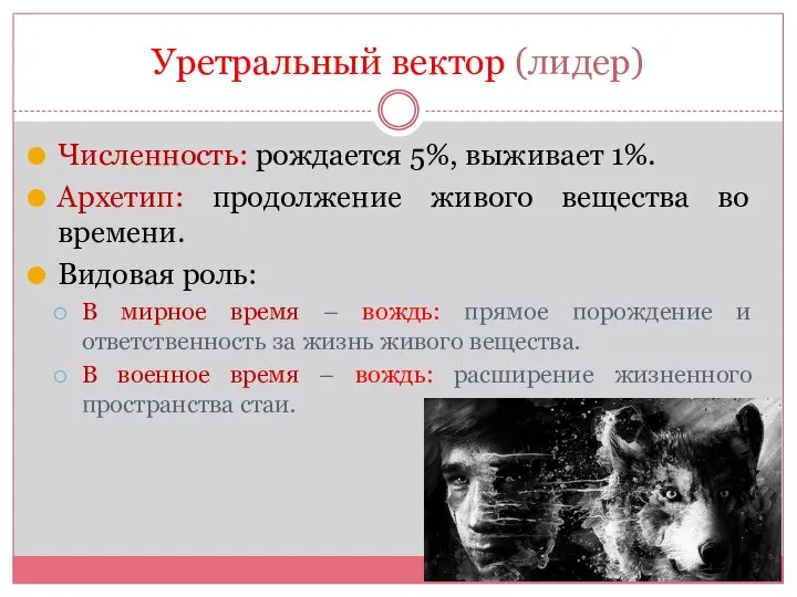 Уретральный вектор (лидер) Численность: рождается 5%, выживает 1%. Архетип: продолжение живого вещества