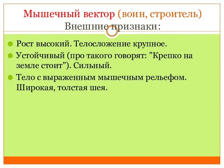 Мышечный вектор (воин, строитель) Внешние признаки: Рост высокий. Телосложение крупное. Устойчивый (про