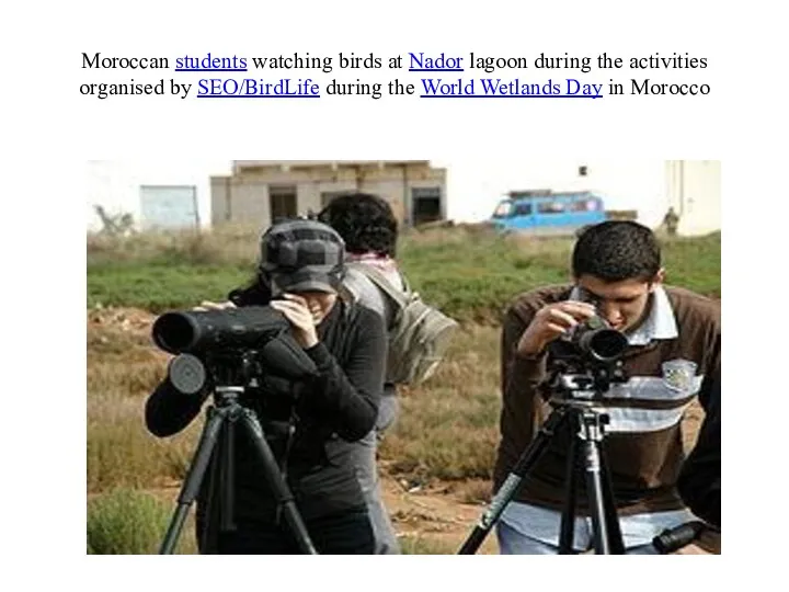 Moroccan students watching birds at Nador lagoon during the activities organised by