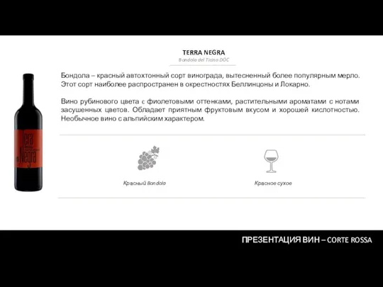 ПРЕЗЕНТАЦИЯ ВИН – CORTE ROSSA Бондола – красный автохтонный сорт винограда, вытесненный