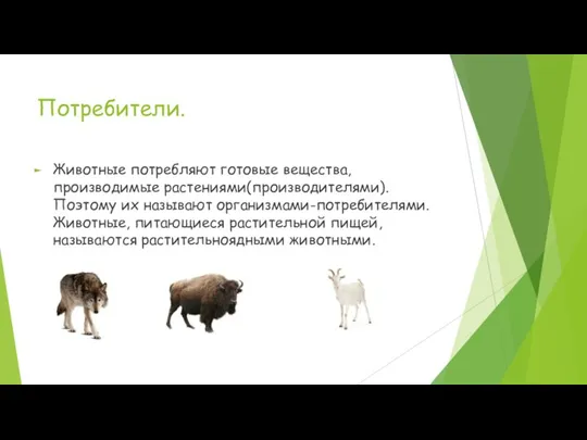 Потребители. Животные потребляют готовые вещества, производимые растениями(производителями). Поэтому их называют организмами-потребителями. Животные,