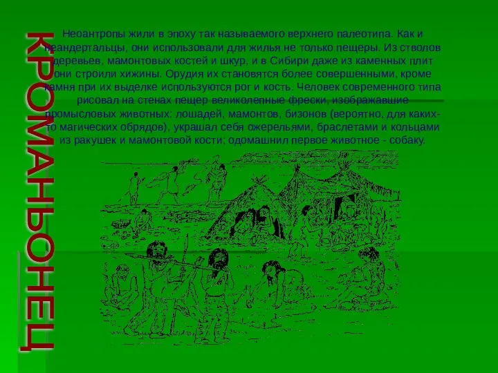 КРОМАНЬОНЕЦ Неоантропы жили в эпоху так называемого верхнего палеотипа. Как и неандертальцы,