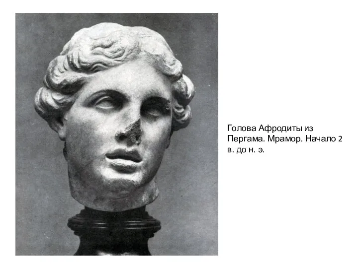 Голова Афродиты из Пергама. Мрамор. Начало 2 в. до н. э.