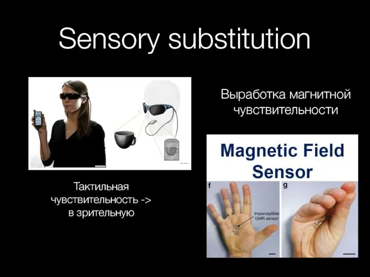Sensory substitution Тактильная чувствительность -> в зрительную Выработка магнитной чувствительности