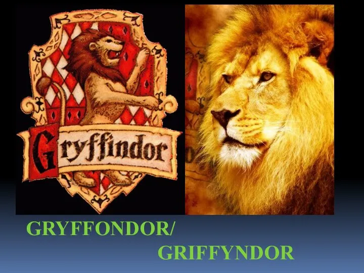 GRYFFONDOR/ GRIFFYNDOR