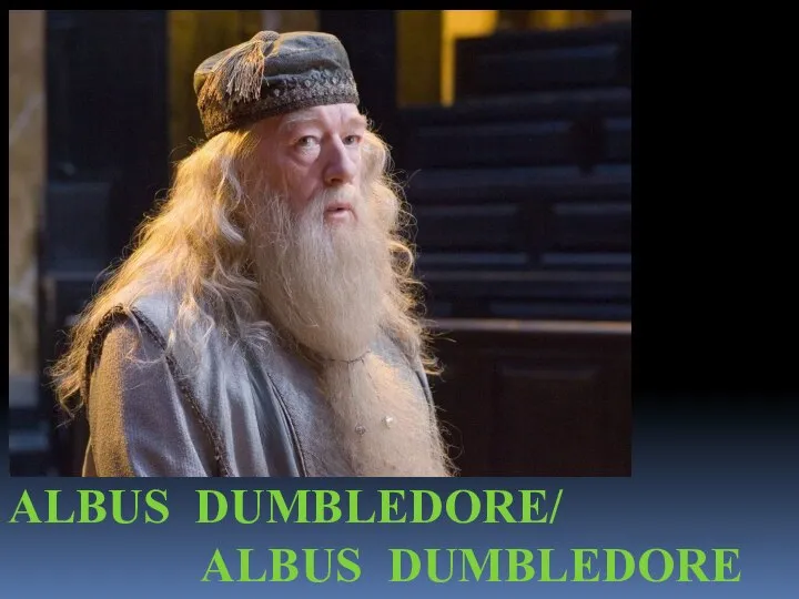 ALBUS DUMBLEDORE/ ALBUS DUMBLEDORE