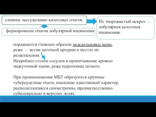 слияние экссудативно-казеозных очагов формирование очагов лобулярной пневмонии поражаются главным образом междольковые вены,