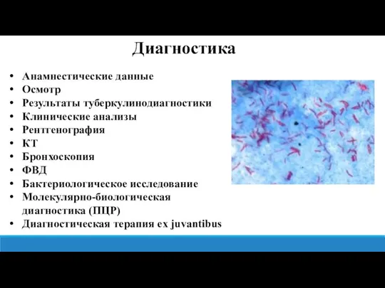 Анамнестические данные Осмотр Результаты туберкулинодиагностики Клинические анализы Рентгенография КТ Бронхоскопия ФВД Бактериологическое