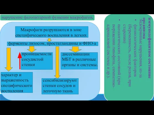 нарушение фагоцитарной функции макрофагов. Макрофаги разрушаются в зоне специфического воспаления в легких