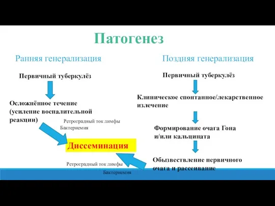 Патогенез Первичный туберкулёз Осложнённое течение (усиление воспалительной реакции) Диссеминация Ранняя генерализация Поздняя