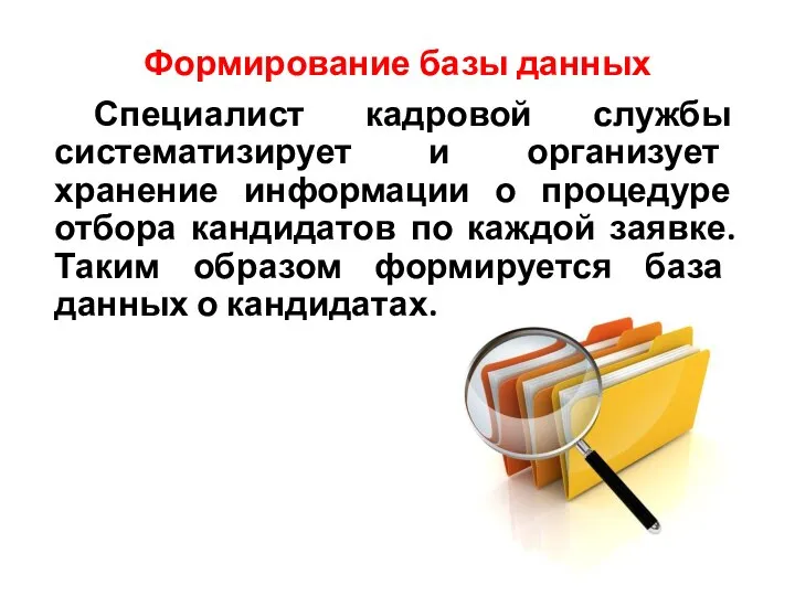 Формирование базы данных Специалист кадровой службы систематизирует и организует хранение информации о