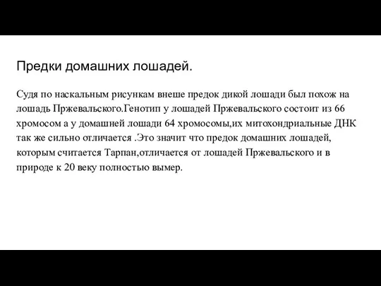 Предки домашних лошадей. Судя по наскальным рисункам внеше предок дикой лошади был