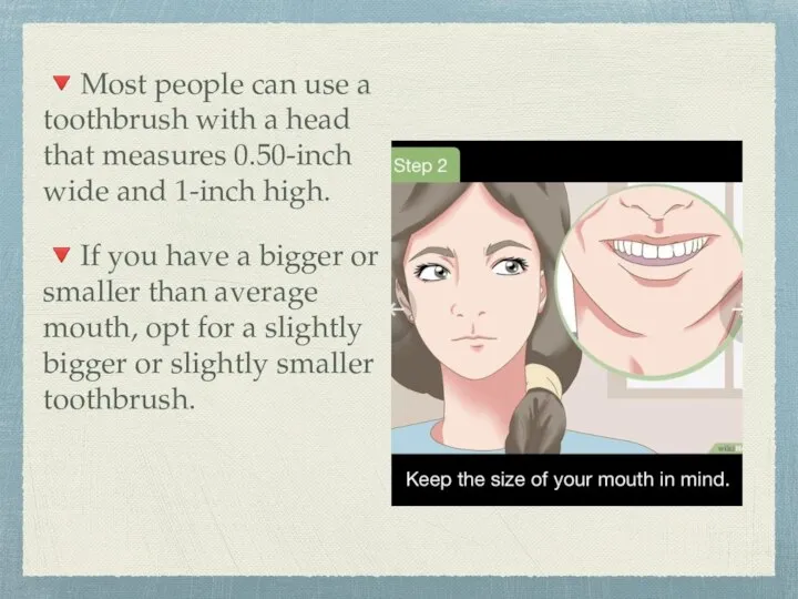 ?Most people can use a toothbrush with a head that measures 0.50-inch