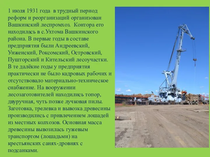 1 июля 1931 года в трудный период реформ и реорганизаций организован Вашкинский