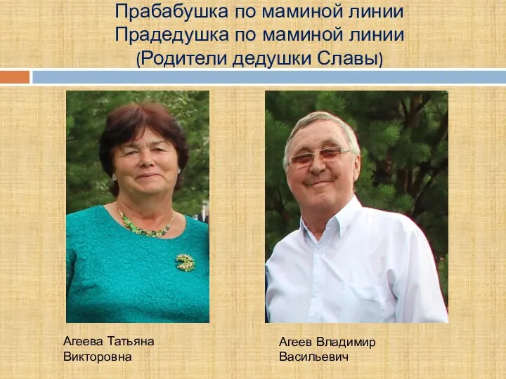 Прабабушка по маминой линии Прадедушка по маминой линии (Родители дедушки Славы) Агеева