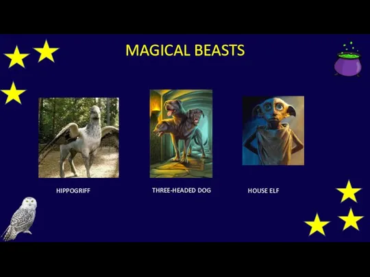 MAGICAL BEASTS HIPPOGRIFF THREE-HEADED DOG HOUSE ELF