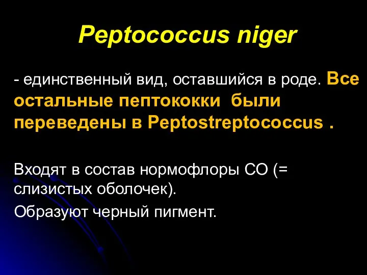 Peptococcus niger - единственный вид, оставшийся в роде. Все остальные пептококки были