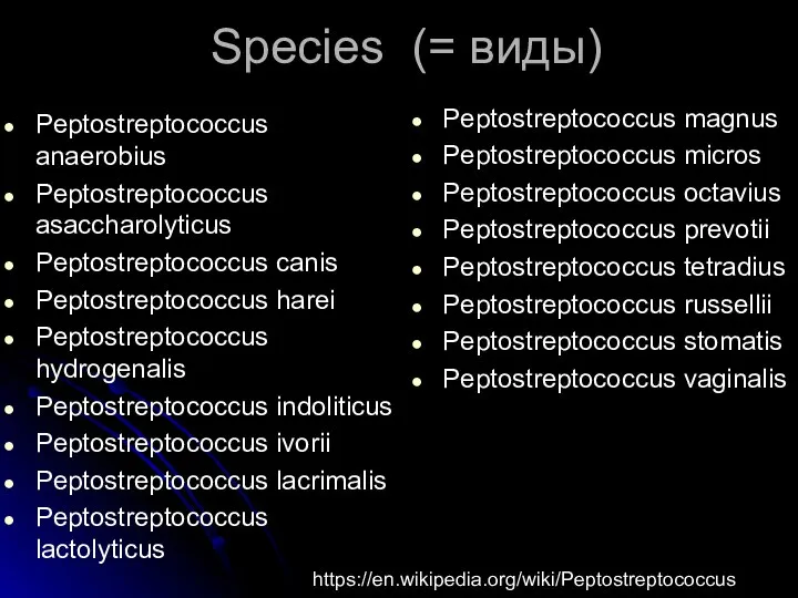 Species (= виды) Peptostreptococcus anaerobius Peptostreptococcus asaccharolyticus Peptostreptococcus canis Peptostreptococcus harei Peptostreptococcus