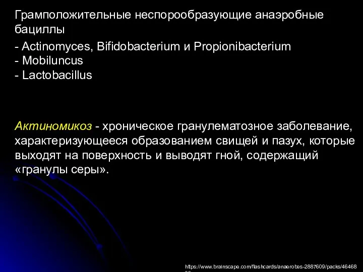 Грамположительные неспорообразующие анаэробные бациллы - Actinomyces, Bifidobacterium и Propionibacterium - Mobiluncus -