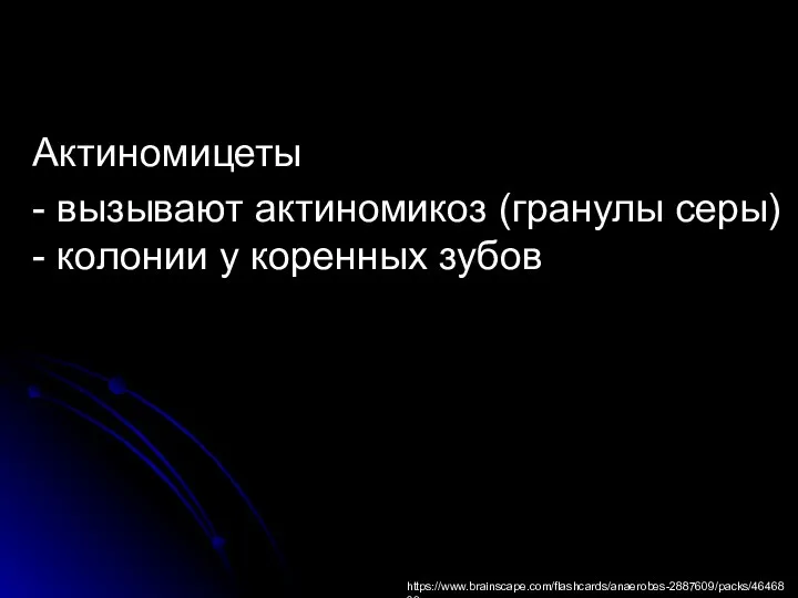 Актиномицеты - вызывают актиномикоз (гранулы серы) - колонии у коренных зубов https://www.brainscape.com/flashcards/anaerobes-2887609/packs/4646803