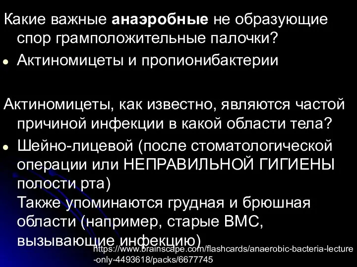 Какие важные анаэробные не образующие спор грамположительные палочки? Актиномицеты и пропионибактерии Актиномицеты,