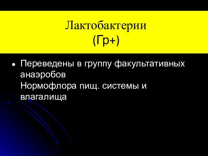 Лактобактерии (Гр+) Переведены в группу факультативных анаэробов Нормофлора пищ. системы и влагалища