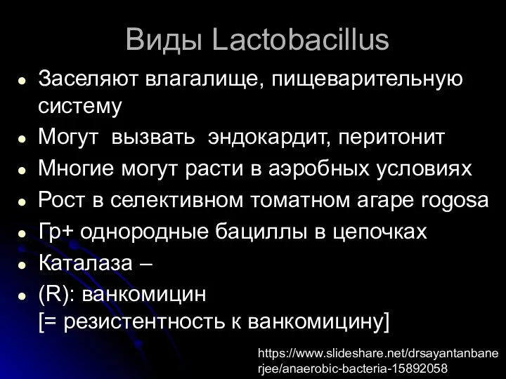Виды Lactobacillus Заселяют влагалище, пищеварительную систему Могут вызвать эндокардит, перитонит Многие могут