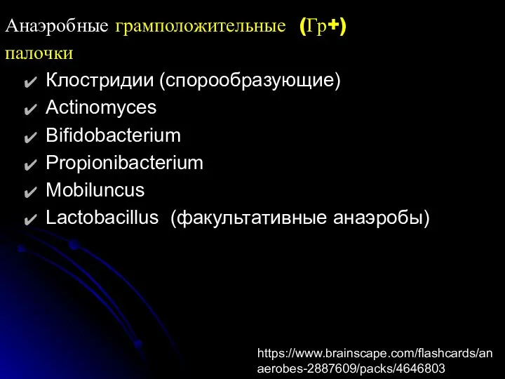Анаэробные грамположительные (Гр+) палочки Клостридии (спорообразующие) Actinomyces Bifidobacterium Propionibacterium Mobiluncus Lactobacillus (факультативные анаэробы) https://www.brainscape.com/flashcards/anaerobes-2887609/packs/4646803