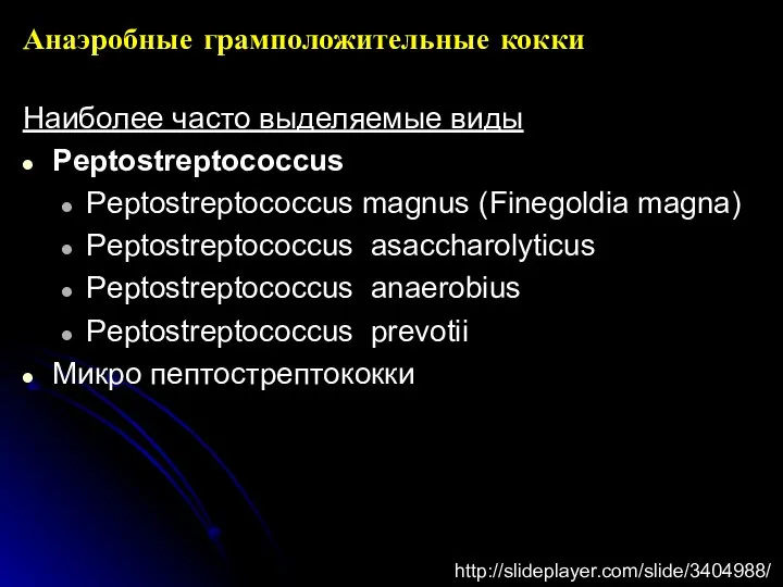 Анаэробные грамположительные кокки Наиболее часто выделяемые виды Peptostreptococcus Peptostreptococcus magnus (Finegoldia magna)