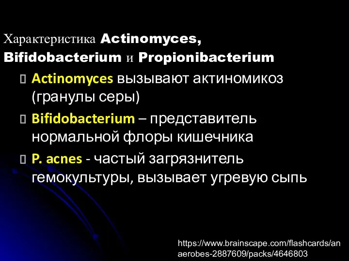 Характеристика Actinomyces, Bifidobacterium и Propionibacterium Actinomyces вызывают актиномикоз (гранулы серы) Bifidobacterium –