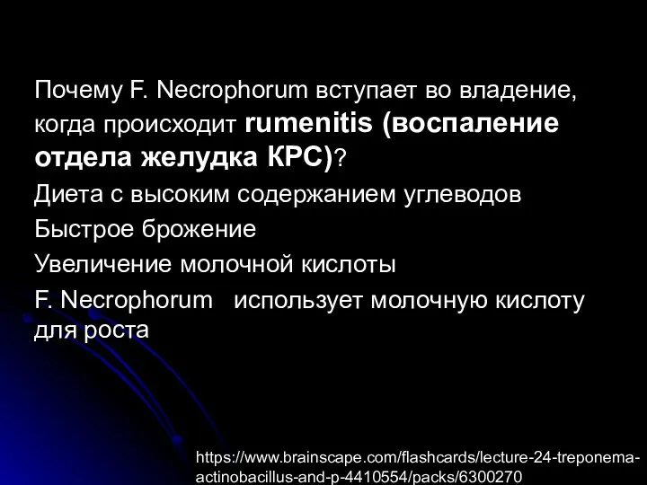 Почему F. Necrophorum вступает во владение, когда происходит rumenitis (воспаление отдела желудка