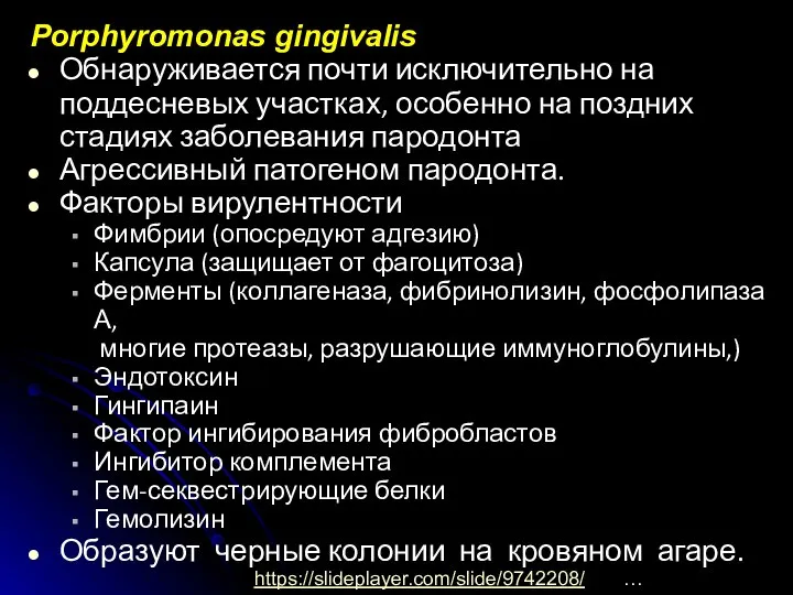 Porphyromonas gingivalis Обнаруживается почти исключительно на поддесневых участках, особенно на поздних стадиях