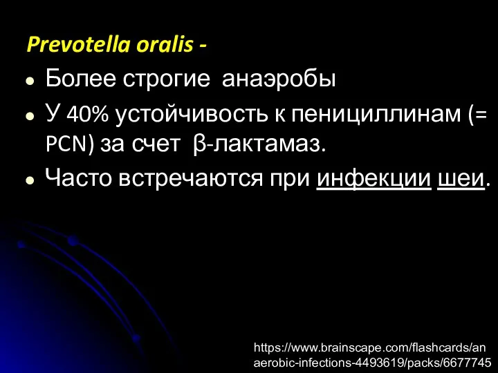 Prevotella oralis - Более строгие анаэробы У 40% устойчивость к пенициллинам (=