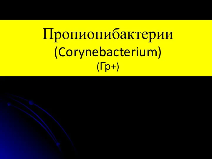 Пропионибактерии (Corynebacterium) (Гр+)