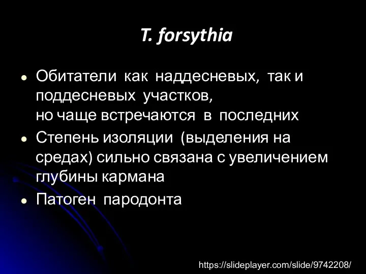 T. forsythia Обитатели как наддесневых, так и поддесневых участков, но чаще встречаются