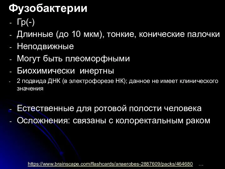 Фузобактерии Гр(-) Длинные (до 10 мкм), тонкие, конические палочки Неподвижные Могут быть