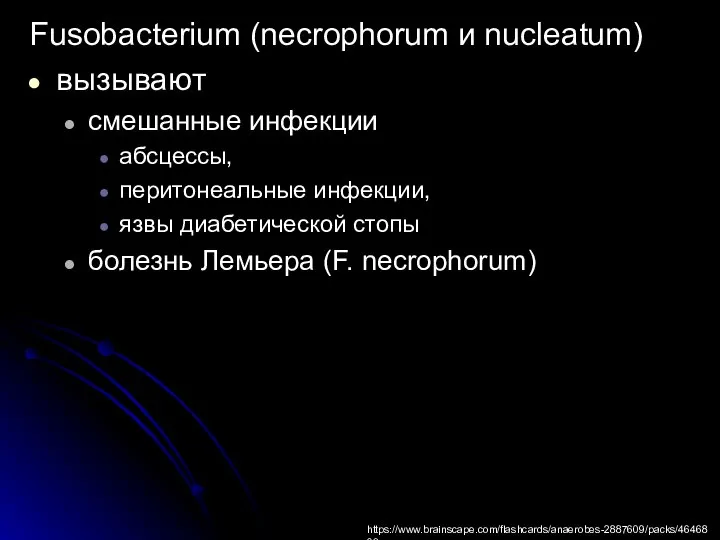 Fusobacterium (necrophorum и nucleatum) вызывают смешанные инфекции абсцессы, перитонеальные инфекции, язвы диабетической