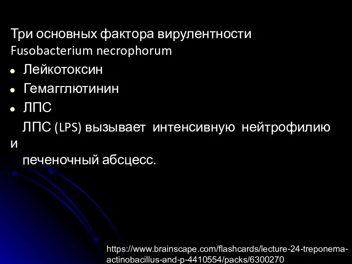 Три основных фактора вирулентности Fusobacterium necrophorum Лейкотоксин Гемагглютинин ЛПС ЛПС (LPS) вызывает