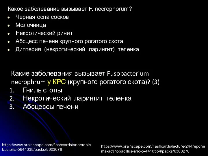 Какое заболевание вызывает F. necrophorum? Черная оспа сосков Молочница Некротический ринит Абсцесс