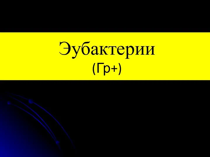 Эубактерии (Гр+)