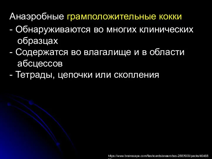 Анаэробные грамположительные кокки - Обнаруживаются во многих клинических образцах - Содержатся во