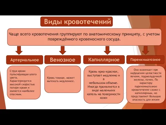 Виды кровотечений Чаще всего кровотечения группируют по анатомическому принципу, с учетом повреждённого