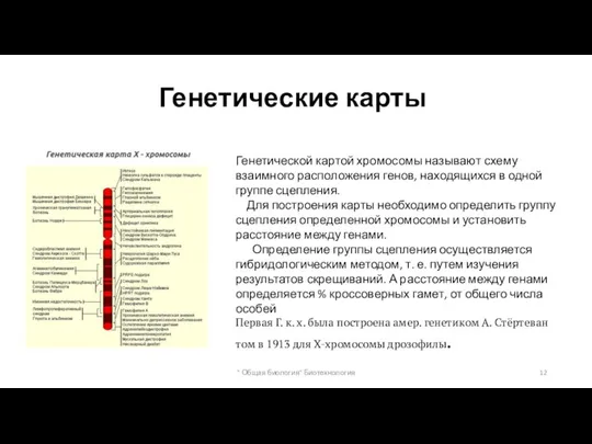 Генетические карты Генетической картой хромосомы называют схему взаимного расположения генов, находящихся в